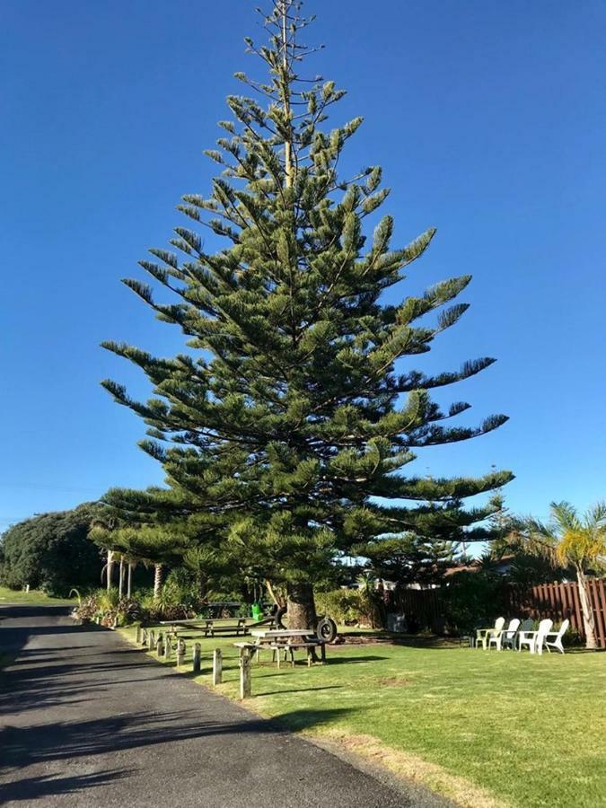 Beaches Motel Waihi Exteriér fotografie